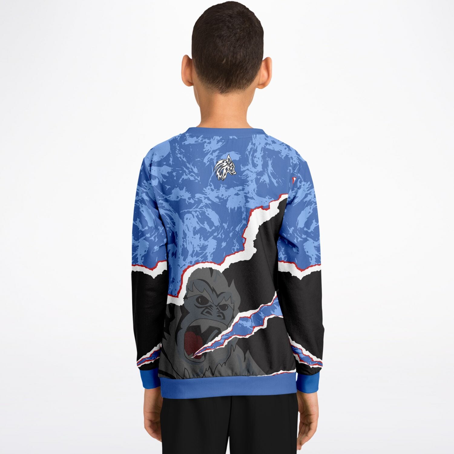 Blue Hills Beasts Kids/Youth Athletic Sweatshirt
