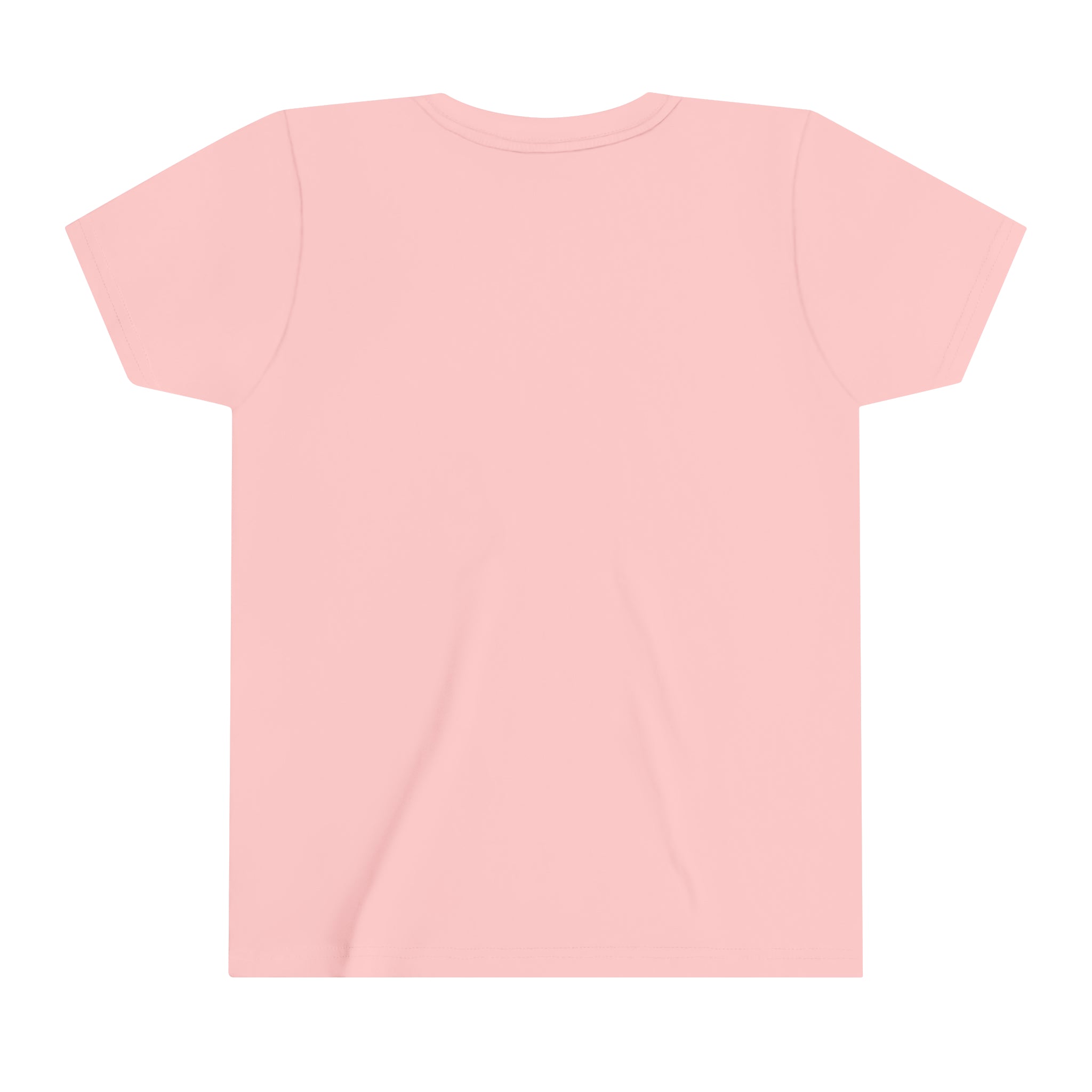 Blue Hills Beasts Youth Short Sleeve Tee