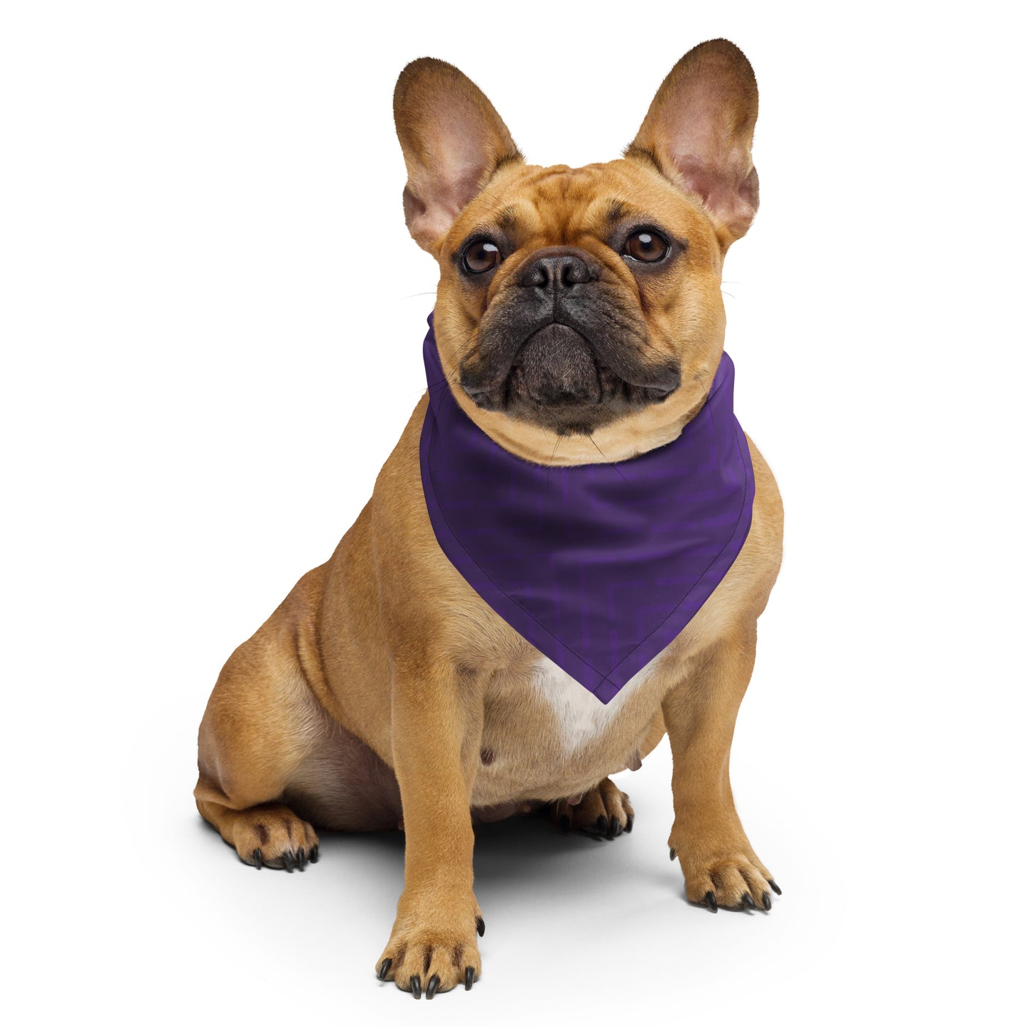 Queen City Gunners bandana