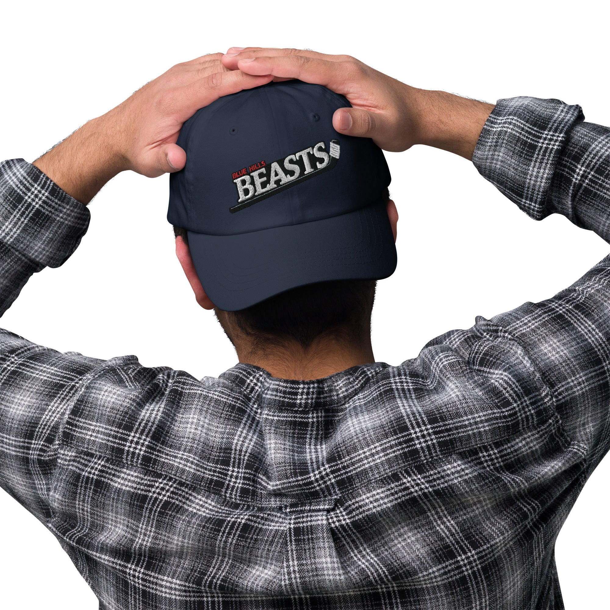 Blue Hills Beasts Dad hat